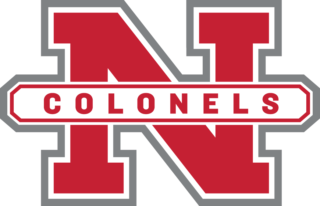 Nicholls State Colonels 2005-2008 Secondary Logo iron on paper